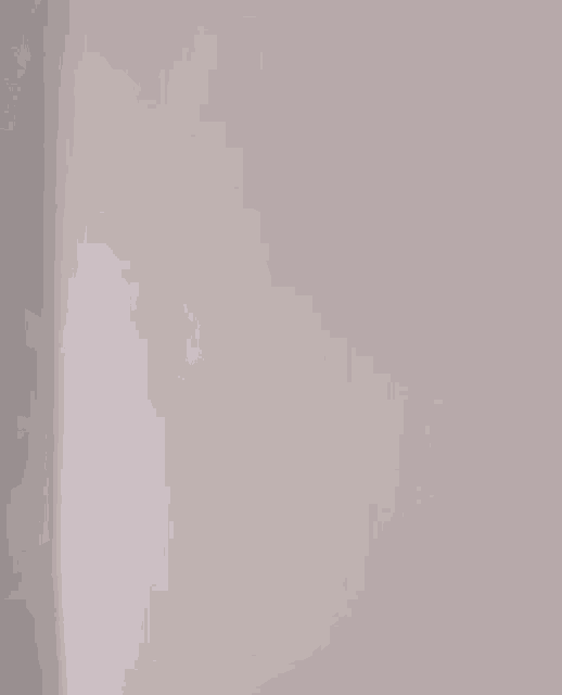 a person is blowing bubbles on a white wall with a brush .