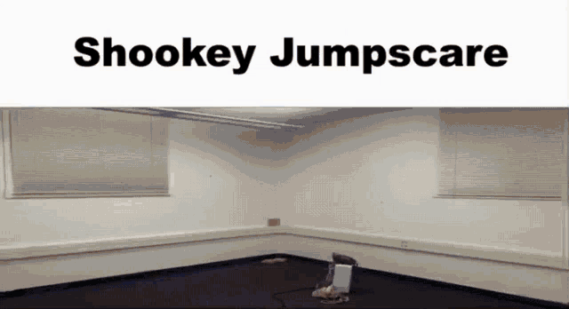 Shookey Shookeyjumpscare GIF