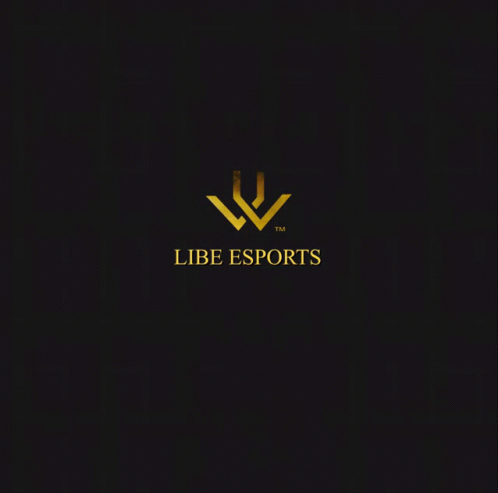 Libe Esports GIF - Libe Esports GIFs