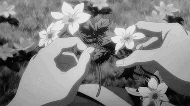 a person is holding a bunch of flowers in their hands in a field .