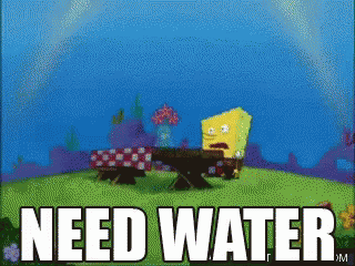 Need Water GIF - Water Spongebob GIFs