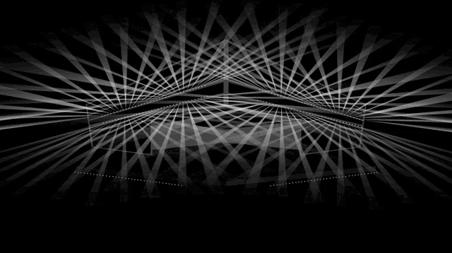 a black and white image with a geometric pattern of lines