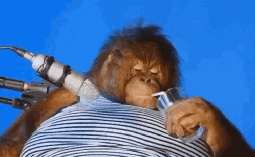 a monkey is wearing a striped shirt and drinking from a glass while standing in front of a microphone .