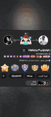 a screenshot of a video game with the name shadow on the bottom