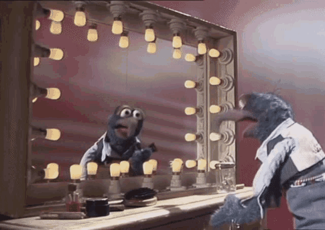 The Muppet Show Gonzo GIF - The Muppet Show Gonzo Mirror GIFs