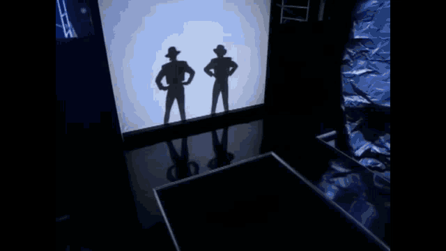 the shadows of two men are projected on a wall