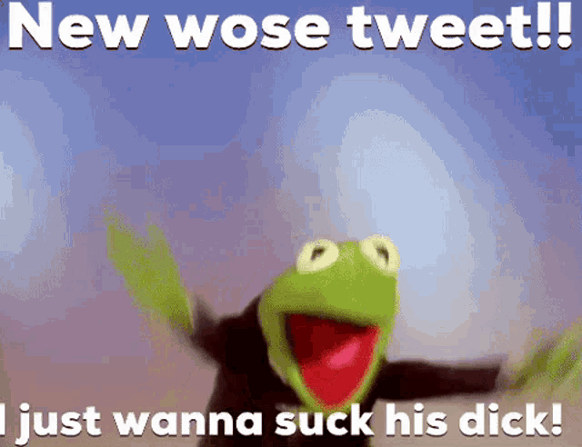 kermit the frog says " new wose tweet !! i just wanna suck his dick ! "