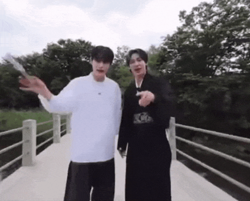 two men are standing on a bridge in a park .