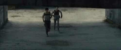 The Maze Runner The Gladers GIF - The Maze Runner The Gladers The Glade GIFs