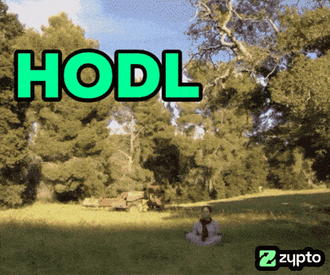 a picture of a woman sitting in a field with the word hodl on it
