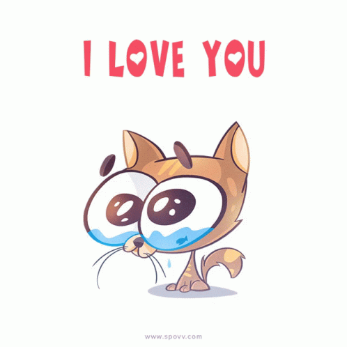 Love I Love You GIF - Love I Love You Cat GIFs