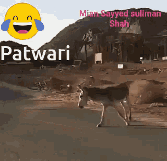 a donkey is walking down a road with a laughing smiley face in the background