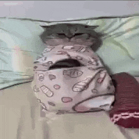 a cat is wrapped in a pink blanket and sleeping on a bed .