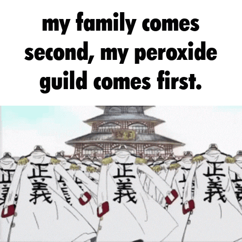 a group of soldiers are standing in front of a building with the words my family comes second my peroxide guild comes first .