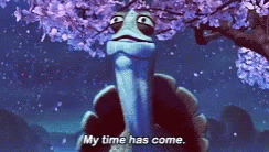 Time Has Come Master Oogway GIF