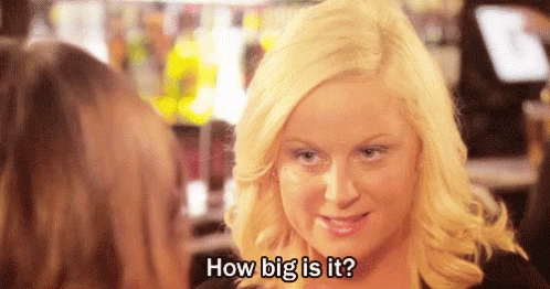 How Big Dick GIF - How Big Dick Amy Poehler GIFs