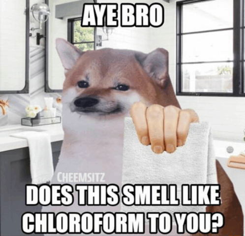 Chloroform Doggo GIF - Chloroform Doggo Meme - Discover & Share GIFs