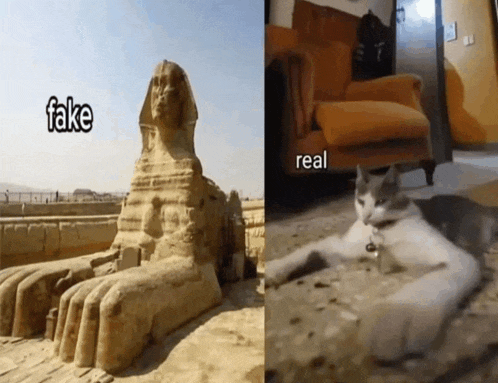 a picture of a statue and a picture of a cat with the words fake and real on the bottom