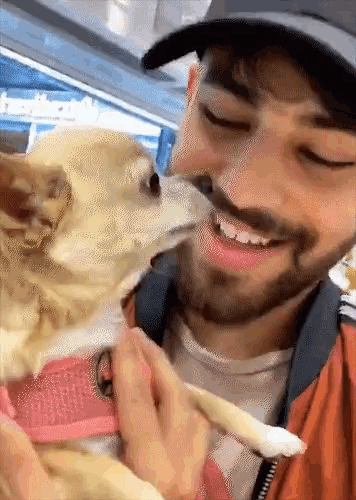 a man holding a small dog with a pink harness