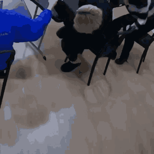 a person in a blue jacket is holding a chair