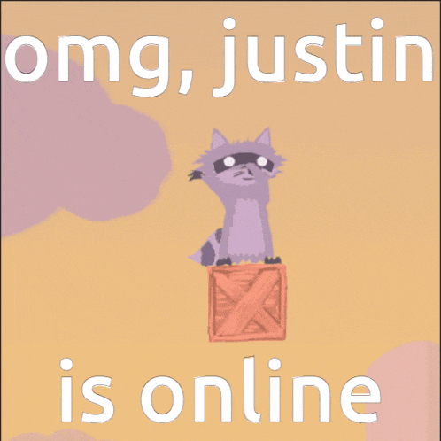 a raccoon sitting on top of a box with the words " omg justin is online "