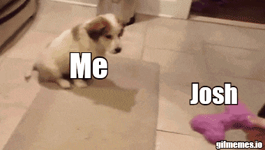 a puppy is playing with a toy and says me josh