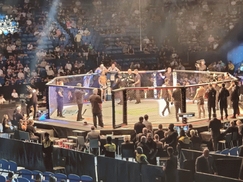 a group of people are watching a boxing match in a ring that says ufc