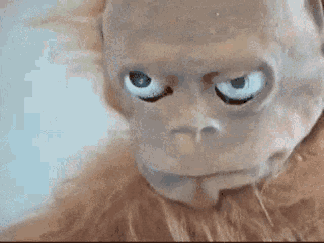 a close up of a stuffed monkey 's face with a serious look on its face .