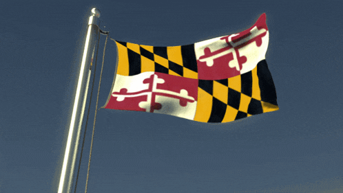 the flag of maryland flies in the wind
