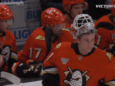 a group of hockey players wearing red jerseys with the number 17 on it