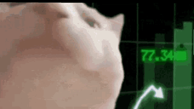 Sphere Pump GIF - Sphere Pump Cat GIFs