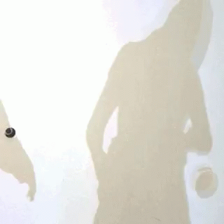 Shadow GIF - Shadow GIFs