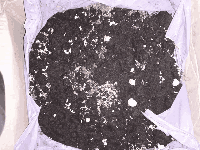 a pile of dirt with white spots on it in a box