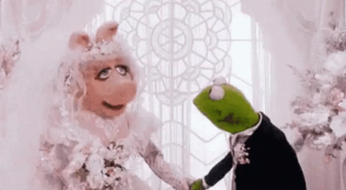 Quer Casar Comigo? / Muppets GIF - Marriage Proposal Muppets GIFs