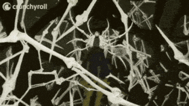 a person is standing in a dark room surrounded by a bunch of bones .