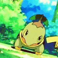 a cartoon turtle with a green leaf on its head
