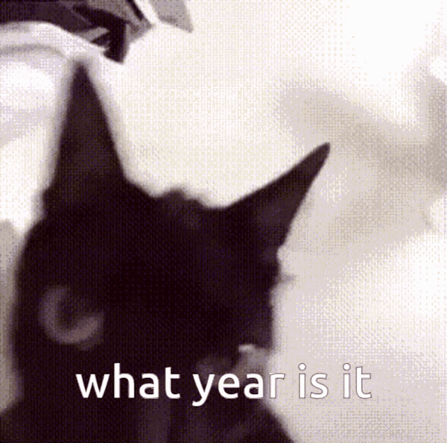 What Year Is It Cat Shaking GIF - What Year Is It Cat Shaking The Voices GIFs
