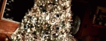 Its Christmas Tree GIF - Its Christmas Tree Bitches GIFs