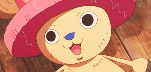 One Piece Anime GIF - One Piece Anime Smiling GIFs