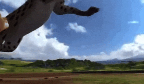 a cheetah is jumping in the air over a field