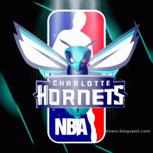 Charlotte Hornets Nba GIF - Charlotte Hornets Nba Charlotte GIFs