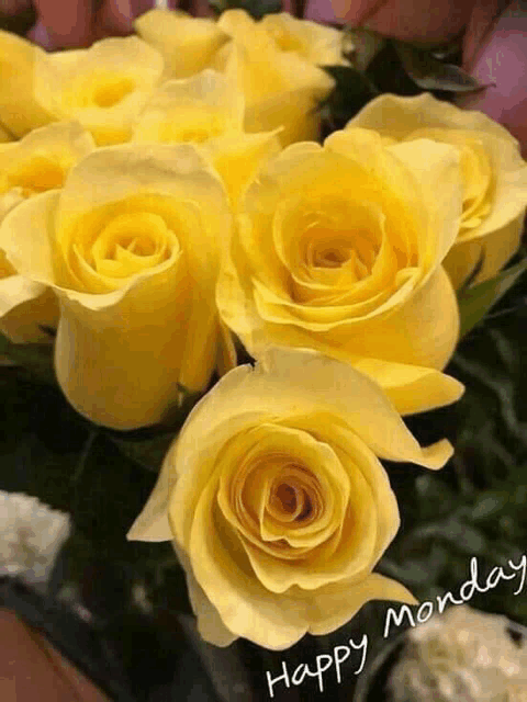 a bunch of yellow roses with the words happy monday written on it