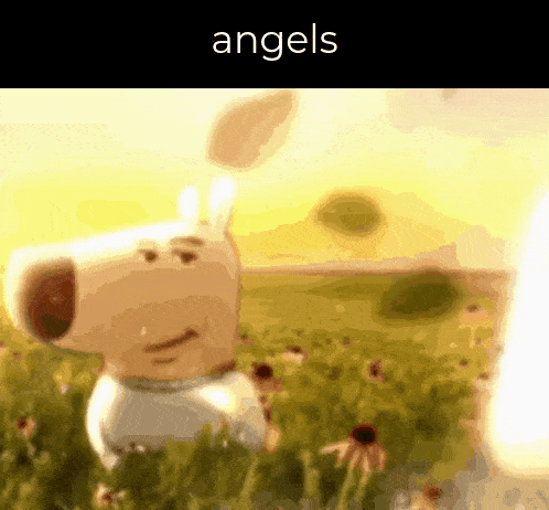 a dog is standing in a field of flowers with the words `` angels '' written above it .