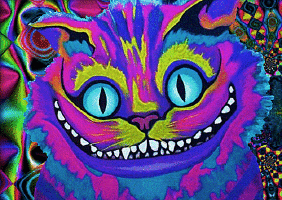 Trippy Cat GIF - Trippy Psychedelic Colors GIFs