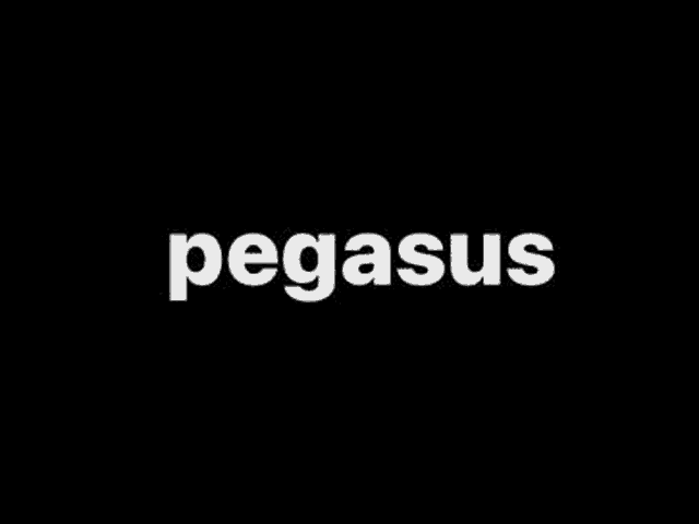a black and white image of the word megasus on a black background