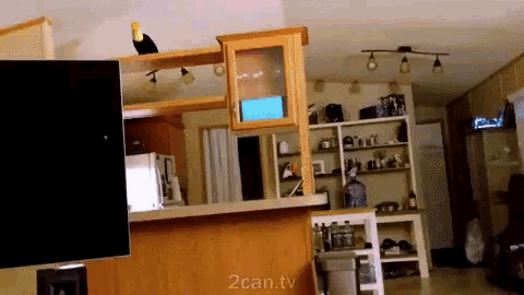 a living room with the words 2can.tv on the bottom left