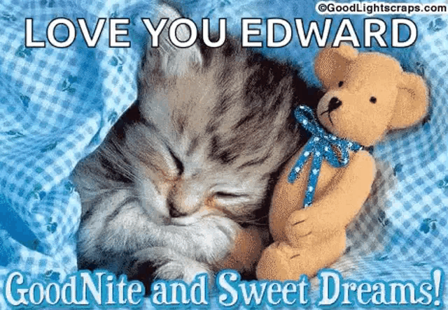 a kitten is sleeping next to a teddy bear in a bed .