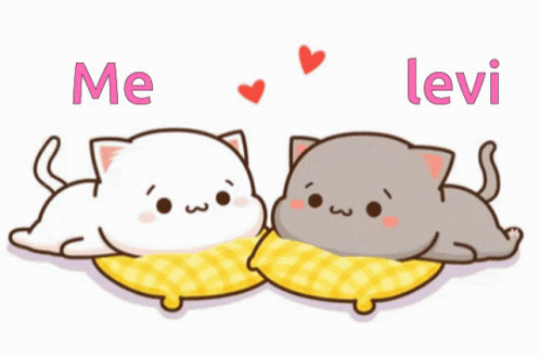 Cute Cats Cute Couple GIF - Cute Cats Cute Couple Levi And Lily GIFs