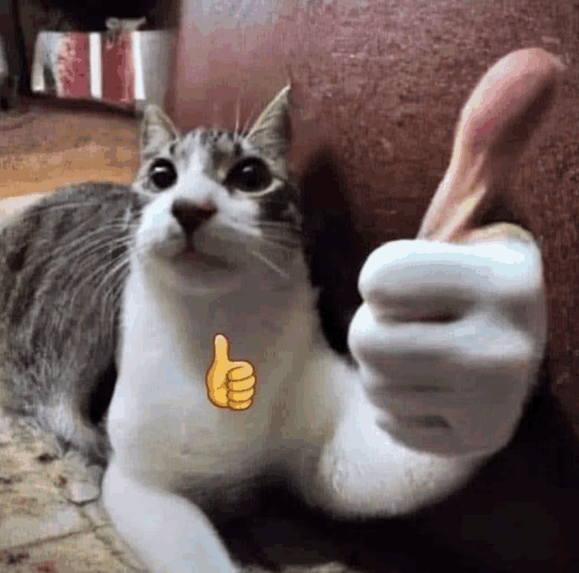 a cat is giving a thumbs up sign with a person 's hand .
