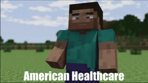 American Healthcare Minecraft GIF - American Healthcare Minecraft Steve GIFs
